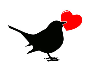 bird with heart