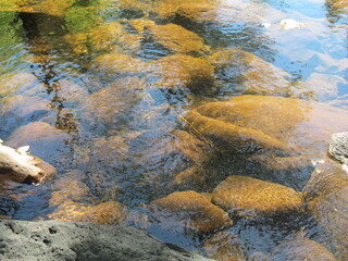 rocks in the water