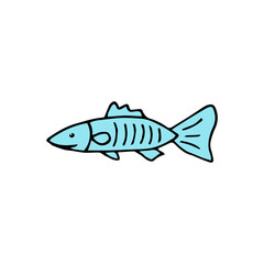 Doodle sea fish. hand drawn of a sea fish isolated on a white background. Vector illustration sticker, icon, design element