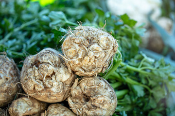 Fresh celery roots on display in basket.
