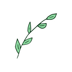 Forest leaves hand drawn vector. autumnal garden leaf Isolated on white background. Botanical forest plants or september october tree foliage