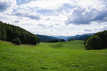 Fototapeta na wymiar Fresh green meadows of the Low Tatras