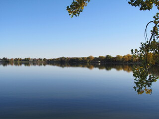 reflection of trees in water