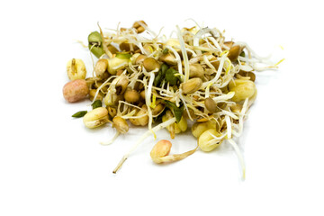 Mung bean sprouts isolated on white background