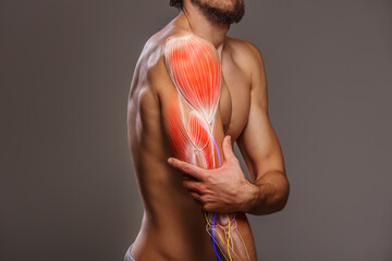 Fototapeta na wymiar Arm nerve pain, injured point, human body anatomy