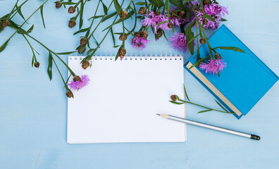 Sketchbook Mock up. Summer Wildflowers mockup background. Notebook blank page mock-up with knapweed flowers, book and pencil on blue wooden table. Copy space
