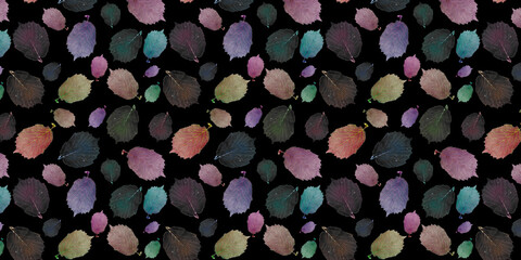 Colored leaf border. Black background. The leaves are real, not painted. Floral pattern.