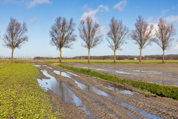 Dutch agricultural landscape with water pools after a rain shower