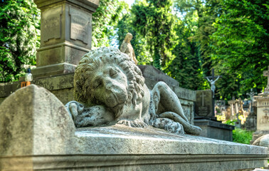 Lviv, Ukraine - July 12, 2019: Ancient gothic Lychakiv cemetery in Lviv, Ukraine. Ancient stone crypts, tombs and gravestones against the backdrop of overgrown green trees and herbs. Famous cultural a