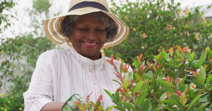 Senior african american woman wearing gardening gloves cutting plants in the garden