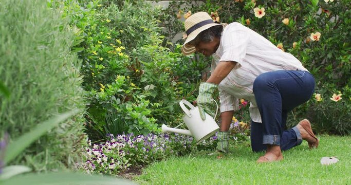 Senior African American Woman Wearing Gardening Gloves Watering Flowers In The Garden