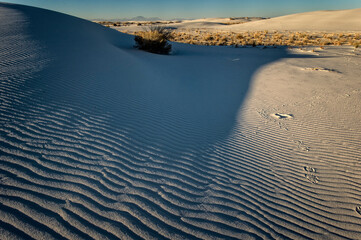 Footprints in the sand;  White Sands National Park;  New Mexico
