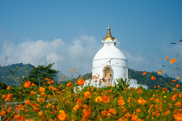 white peace pagoda in the mountains