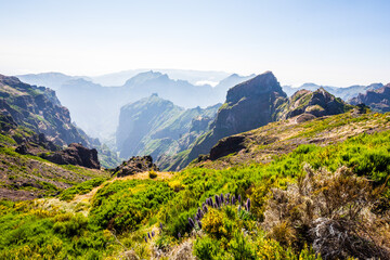 Naklejka na ściany i meble The Pico do Arieiro, Madeira, Portugal, Europe