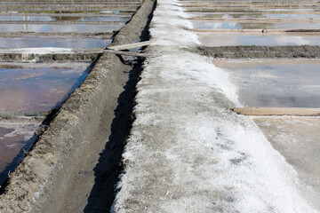 Salt Flats, Ria de Aveiro, Aveiro, Portugal