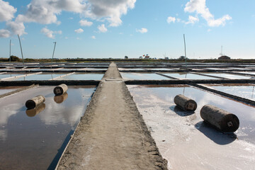 Salt Flats, Ria de Aveiro, Aveiro, Portugal