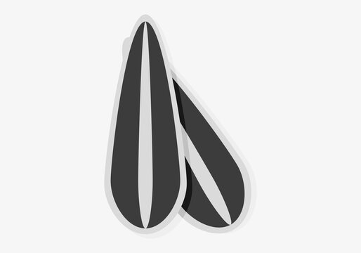 Pipas de girasol en fondo blanco.