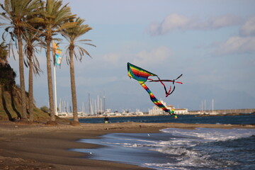 boy playing with kite in the  beach