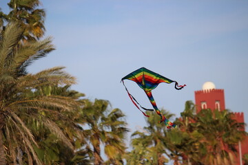 boy playing with kite in the  beach