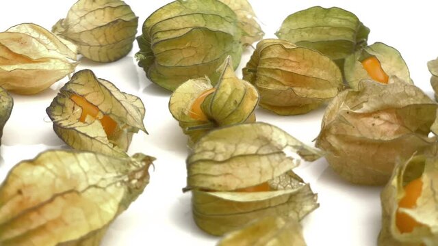 physalis isolated on white background