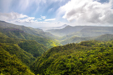 The Black River Gorges National Park in Mauritius, Africa