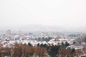 Pirot city panorama covered by snow on a cold, winter day with a gray sky and hazy atmosphere and a tree line in the foreground