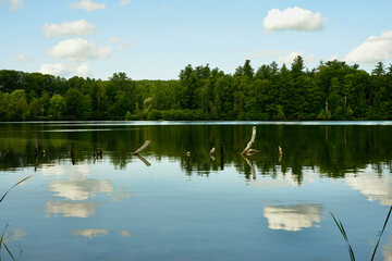 Landscape from the shore of the lake, water, shoreline overgrown with trees, sky with clouds, reflection