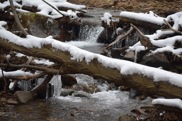 Tree laden babbling brook during the winter time with snow