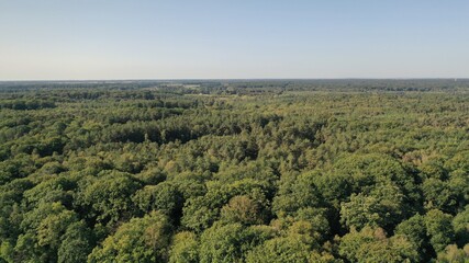 Obraz premium parc, forêt, château de Rambouillet dans les Yvelines (France)