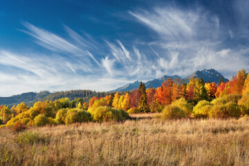 Panorama of High Tatras mountains - National park in Slovakia	,Europe mountains, High Tatra...