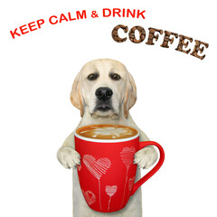 A dog holds a red cup of coffee. Keep calm and drink coffee. White background. Isolated.