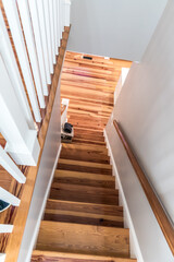 Light pine wood staircase with railing