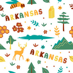 USA collection. Vector illustration of Arkansas theme. State Symbols - seamless pattern