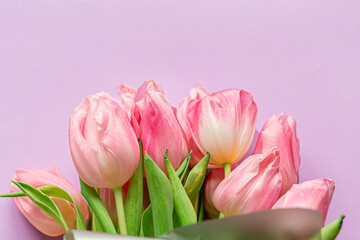 Obraz premium Tender pink tulips on pastel violet background. Concept of international women's day, mother's day, easter. Valentine love day