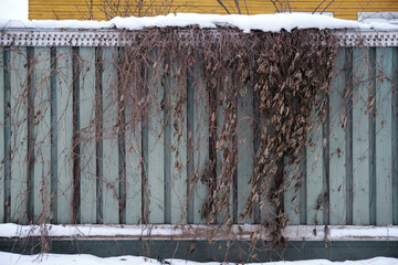 Old wooden fence background texture close up