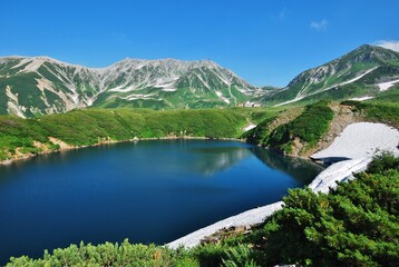 夏景色　立山アルパイン