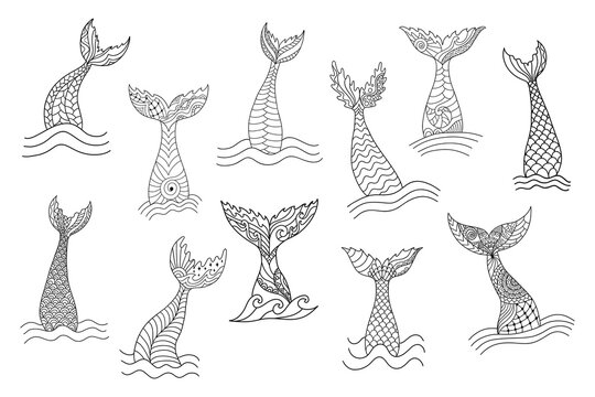 Set of hand drawn ornamental mermaid's tails. Doodle cartoon vector illustration 