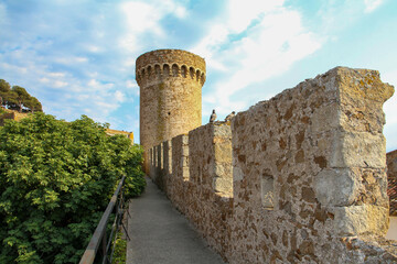 Two pigeons sit on the wall of an ancient fortress next to the watchtower