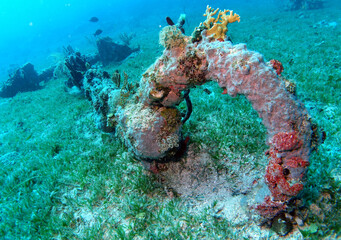 Diving at the Royal Mail Steamer Rhone sank 1867, Island Salt, British Virgin Island, Caribbean wreck dive, Fun diving with beautiful fishes