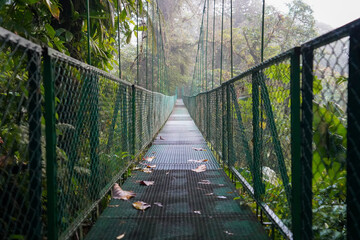 Cloud Forest Hanging Bridge in Monteverde, Costa Rica IV