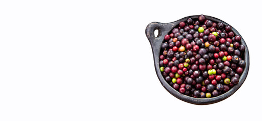 Agraz tropical fruit from Colombia - Vaccinium meridionale