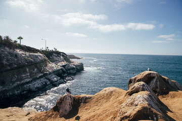 Fototapeta na wymiar Cliffs along the ocean