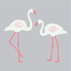 Flamingos