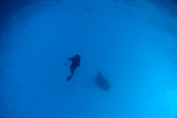 Diving at the Royal Mail Steamer Rhone sank 1867, Island Salt, British Virgin Island, Caribbean wreck dive, Fun diving with beautiful fishes