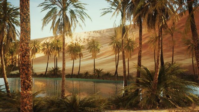 oasis with palm trees in desert