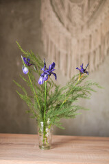 bouquet of wild flowers iris on a wooden table behind a concrete wall
