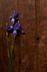 bouquet of wild purple iris flowers on wooden table