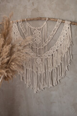 bouquet of reed plant on the background of a gray concrete wall with macrame
