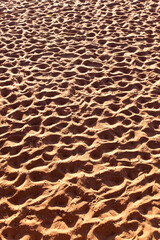 Sandy Shore With Footprints