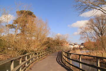 bridge over the river in autumn